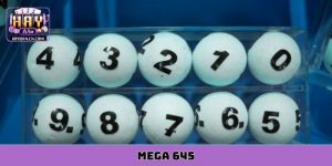 mega 645