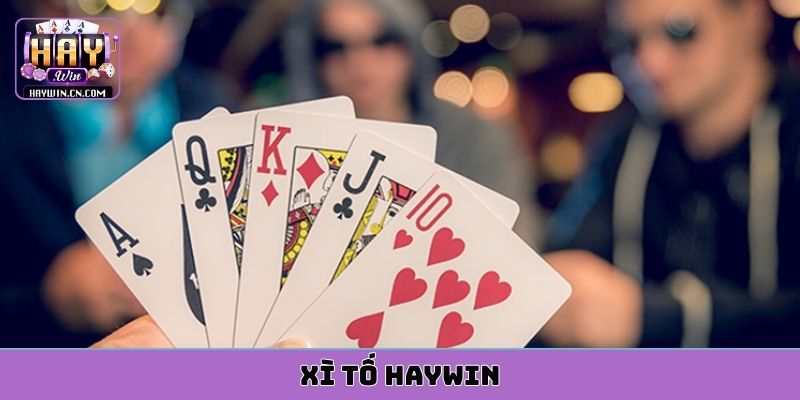 xì tố HAYWIN