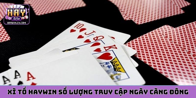 Xì tố HAYWIN số lượng truy cập ngày càng đông
